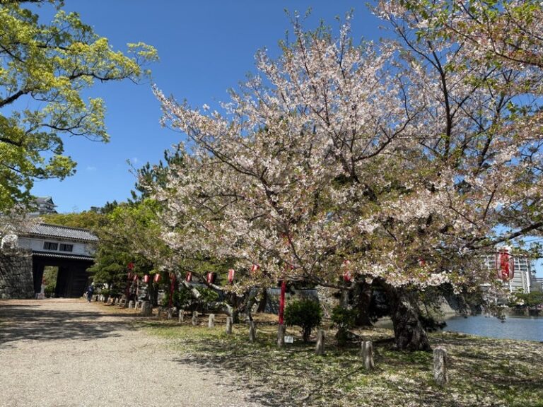 お城に学ぶ 和の心